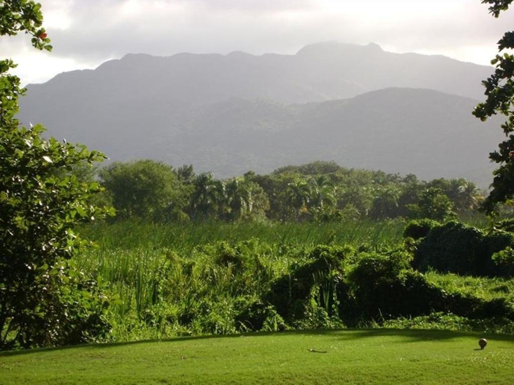 Rio Mar Village - Golf Course View Rio Grande Exterior foto